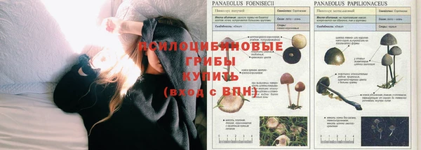кокаин премиум Армянск