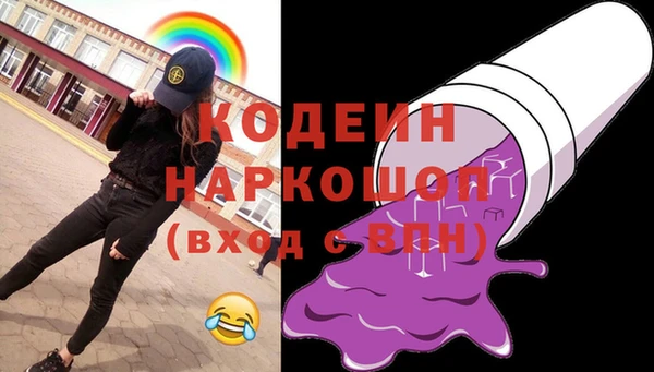 гашик Пестово